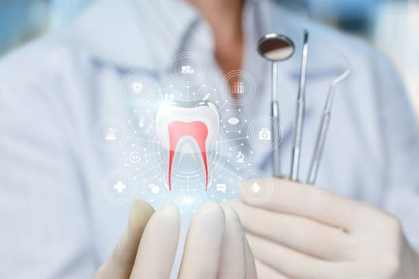 Best Dental Fillings (Composite and Amalgam)  in Winnebago, IL